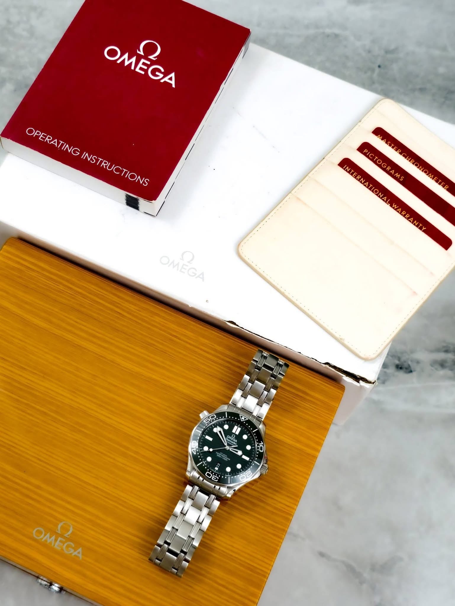Omega Seamaster 210.30.42.20.10.001 - VTC Watches